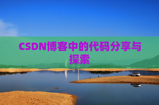 CSDN博客中的代码分享与探索